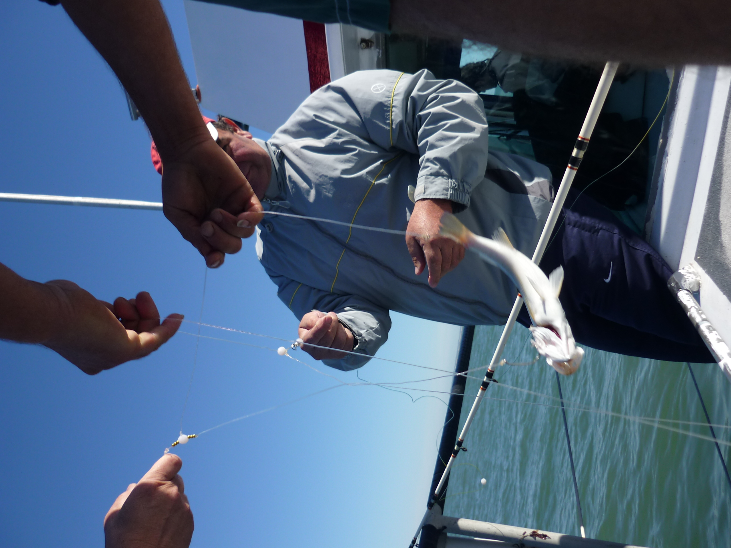 fotos/2009-12-07 - Mar del Plata Pezca Variada/P1000648.JPG